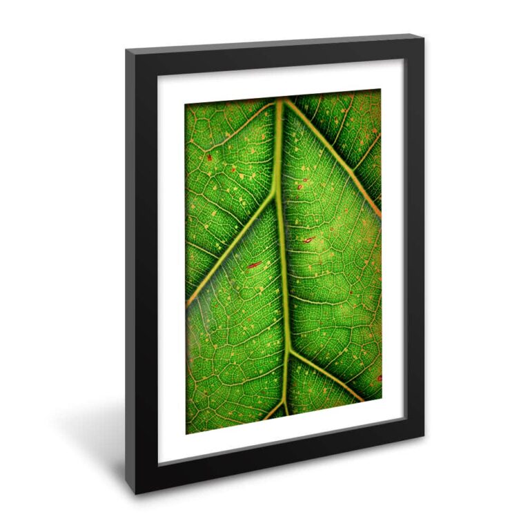 Framed Poster with Mat InkRabbit Printworks